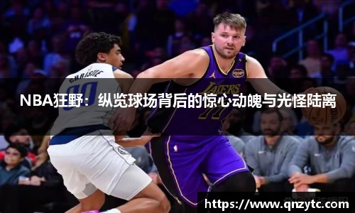 NBA狂野：纵览球场背后的惊心动魄与光怪陆离